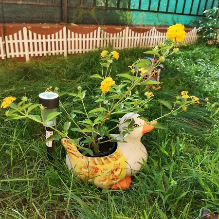 Διαμέρισμα светлая новая студия в